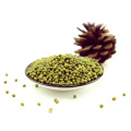 Green Mung Bean (Prime quality dried),sprouting grade mung beans,mung beans for sprouting